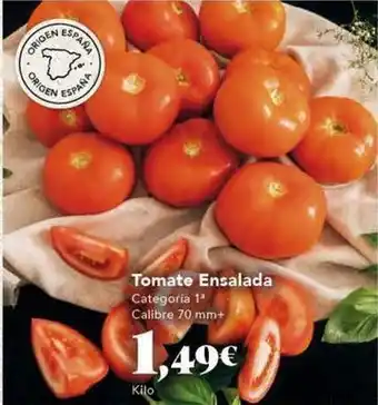 Gadis Tomate ensalada oferta
