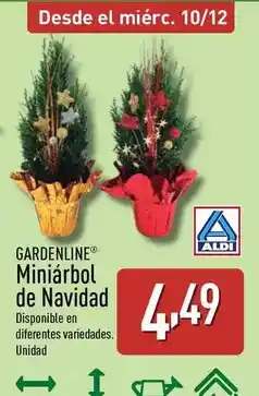 Gadis Del monte - piña en su jugo rodajas oferta