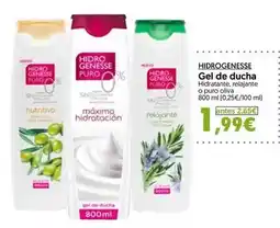 Gadis Scottex - papel higiénico oferta