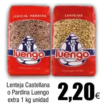 FROIZ Lenteja Castellana o Pardina Luengo extra 1 kg unidad oferta