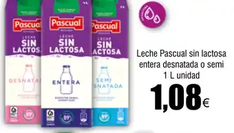 FROIZ Leche Pascual sin lactosa entera desnatada o semi 1 L unidad oferta