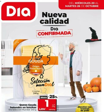 Dia Queso Gouda holandés en lonchas Dia Selección Mundial 240 g oferta