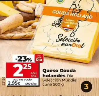 Dia Queso Gouda holandés Dia Seleccion Mundial cuña 500g oferta