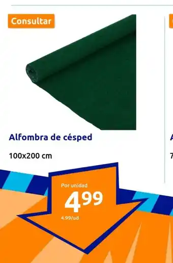 Action Alfombra de césped oferta