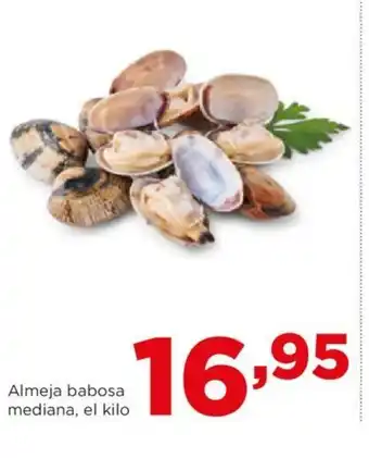 Alimerka Almeja babosa mediana, el kilo oferta