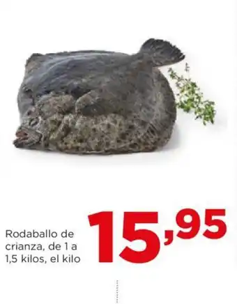 Alimerka Rodaballo de crianza, de 1 a 1,5 kilos, el kilo oferta