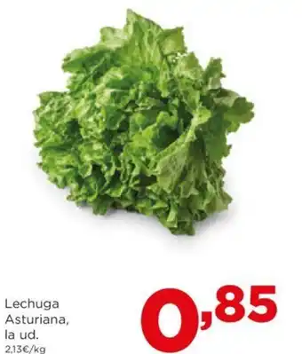 Alimerka Lechuga Asturiana, oferta