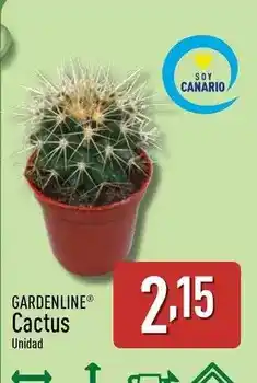 Pascual Martí Tostadora oferta