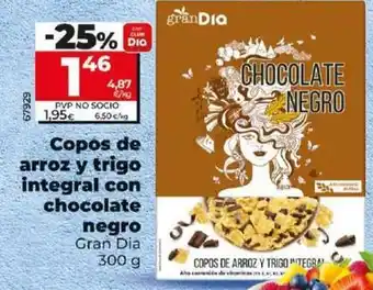 Dia Gran dia - copos de arroz y trigo integral con chocolate negro oferta