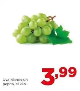 Alimerka Uvas oferta