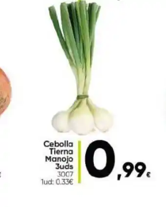 Family Cash Cebolla Tierna Manojo oferta