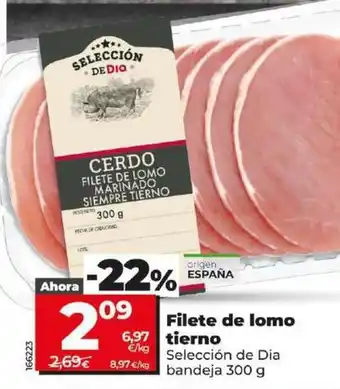 Dia Seleccion de dia - filete de lomo tierno oferta