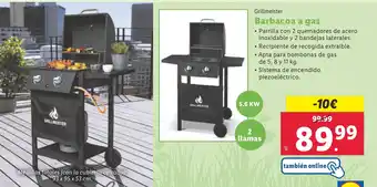 Lidl Barbacoa a gas oferta