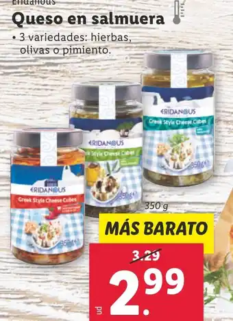 Lidl Queso en salmuera oferta