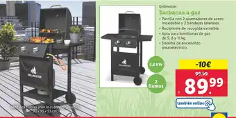 Lidl Barbacoa a gas oferta