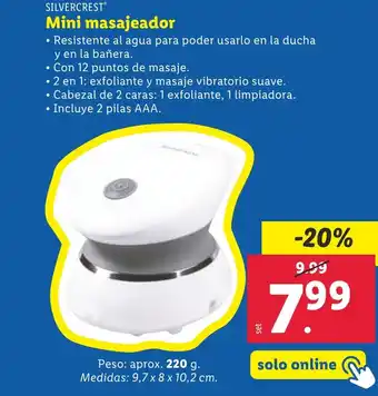 Lidl Mini masajeador oferta