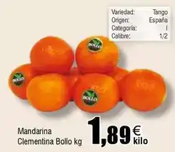 Carrefour Gallina blanca - caldo casero de pollo bajo en sal oferta