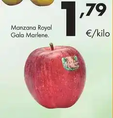 ALDI Esselt - friegasuelos oferta