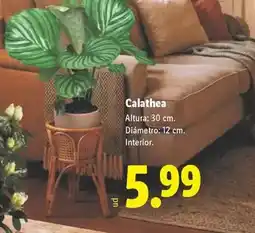 Carrefour Wd - disco duro elements oferta