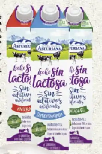 Gadis Leche sin Lactosa C.L. ASTURIANA oferta