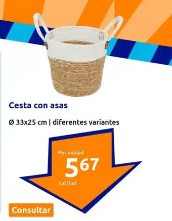 Action Cesta con asas oferta