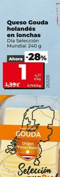 Maxi Dia Queso gouda holandés en lonchas dia oferta