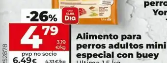 Maxi Dia Comida para perros última oferta