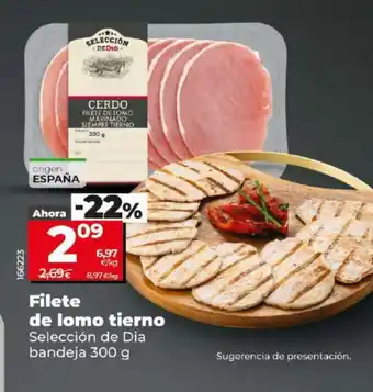 Maxi Dia Filete de lomo tierno oferta