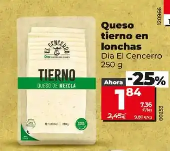 Maxi Dia Queso tierno en lonchas oferta