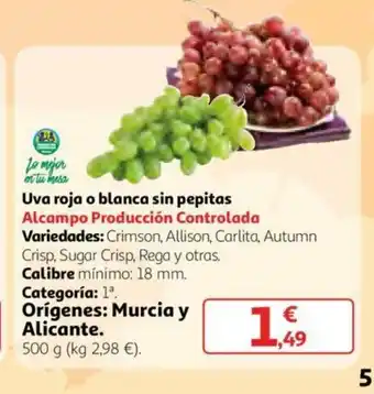 Alcampo Uva roja o blanca sin pepitas Alcampo Producción Controlada 500g oferta
