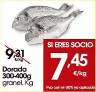 Consum Hojiblanca - oli d'oliva verge extra oferta