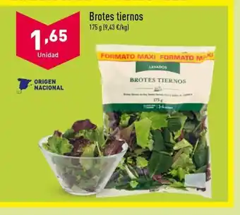 ALDI Brotes tiernos oferta
