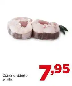 Alimerka Congrio oferta