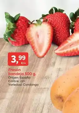 CashDiplo Pasta oferta