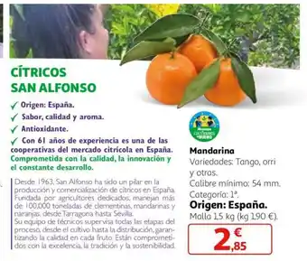 Alcampo Mandarina oferta