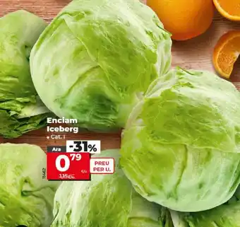 Dia Enciam Iceberg oferta