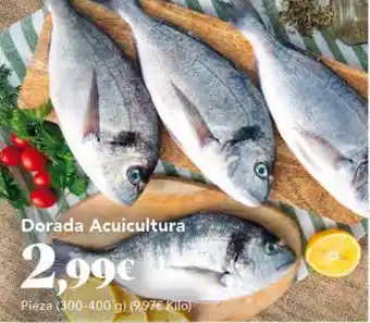 Gadis Dorada Acuicultura oferta