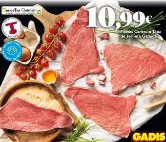 Gadis Filetes Contra o Tapa de Ternera Gallega oferta