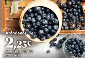 Gadis Arándanos oferta