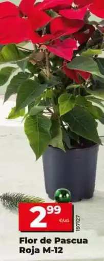 Autoservicios Familia Campofrío - pizza vegalia con verduras y queso oferta