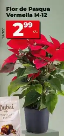 TOP Cash & Carry Café molido oferta