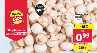 Lidl Champiñón blanco oferta