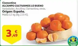 TOP Cash & Carry Pechuga de pollo oferta