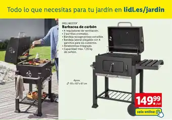 Lidl Barbacoa de carbón oferta