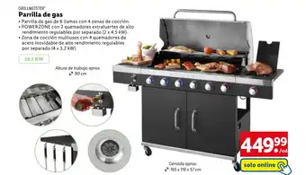 Lidl Parrilla de gas oferta