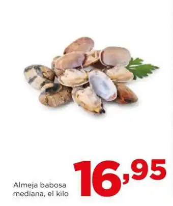 Alimerka Almeja babosa mediana, el kilo oferta