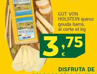 HiperDino Gut von holstein queso gouda barra oferta