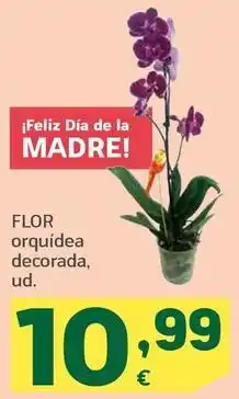 HiperDino Flor - orquídea decorada oferta