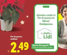 HiperDino Ybarra - aceite de oliva suave oferta
