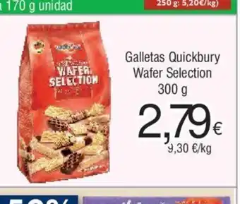 FROIZ Galletas Quickbury Wafer Selection 300 g oferta